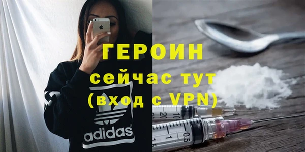 молекула духа Богданович