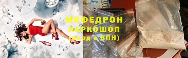 молекула духа Богданович