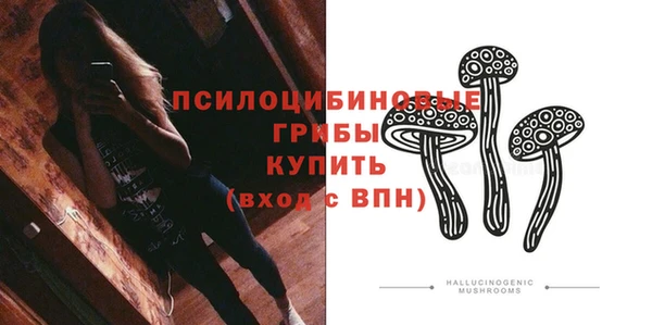 молекула духа Богданович