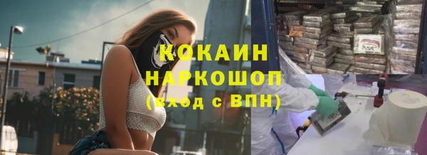 твердый Богородицк
