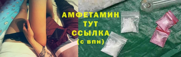 молекула духа Богданович