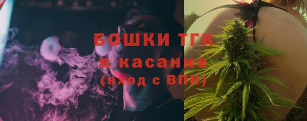 молекула духа Богданович