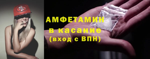 молекула духа Богданович