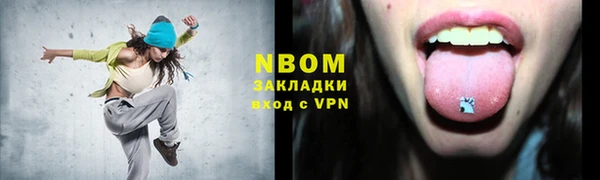 молекула духа Богданович