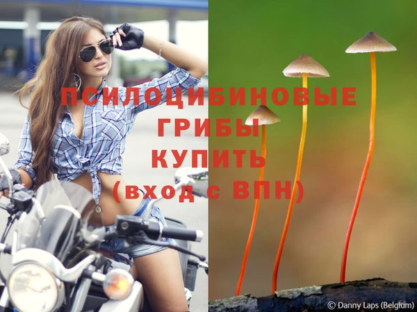твердый Богородицк
