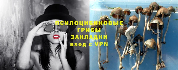 твердый Богородицк