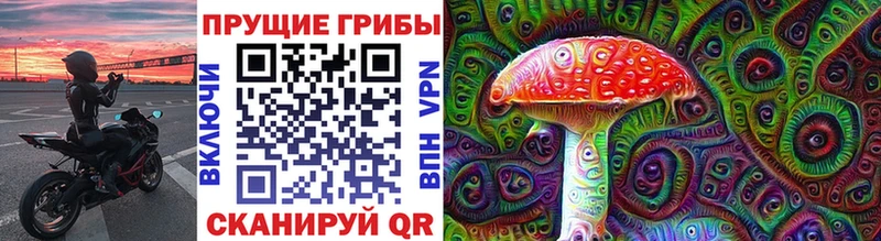 mega tor Острогожск Псилоцибиновые грибы Psilocybe закладка
